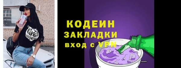 хмурый Дмитров